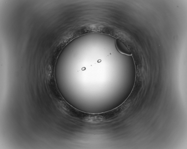 X0000086800752200704271850