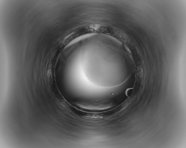 X0000086800754200704271850