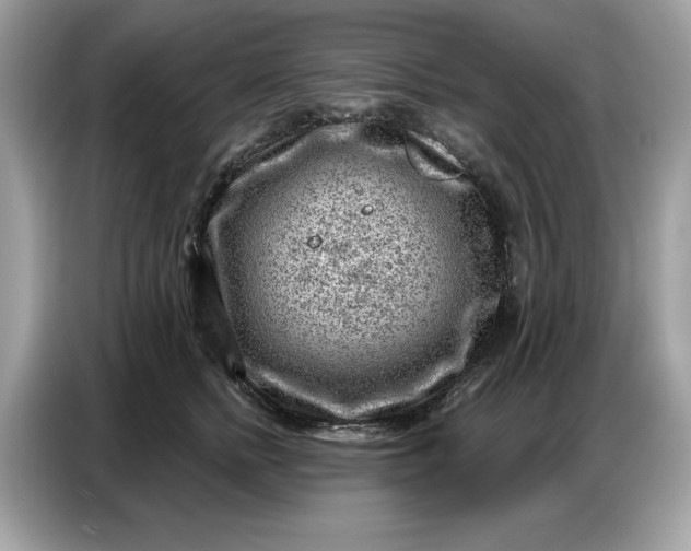 X0000086800758200704271850