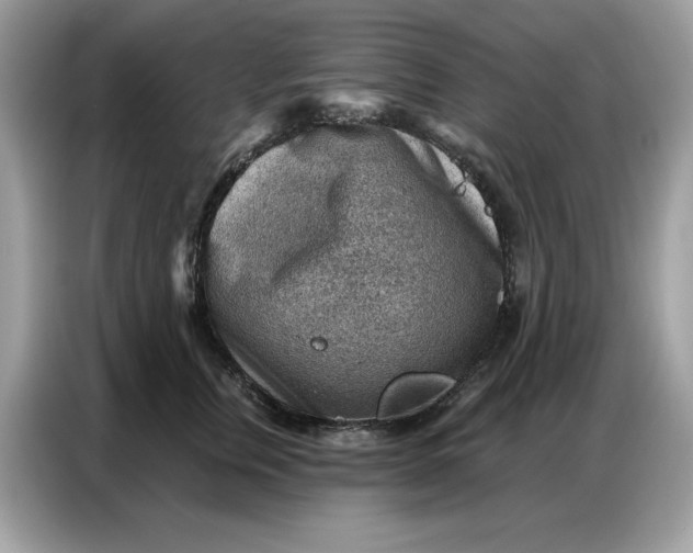 X0000086800759200704271850