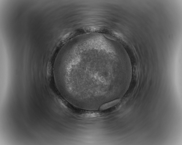 X0000086800760200704271850