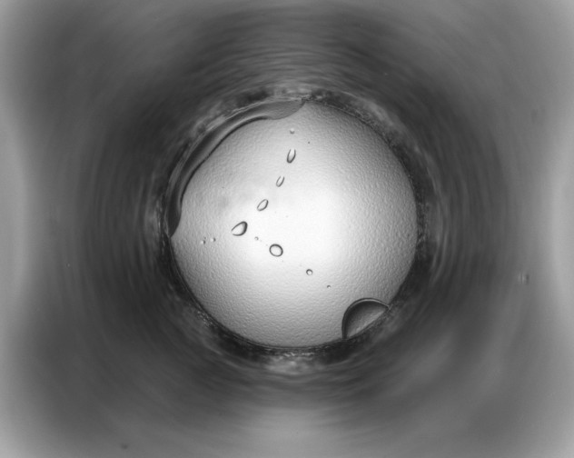 X0000086800761200704271850