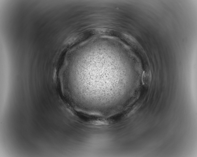 X0000086800765200704271850