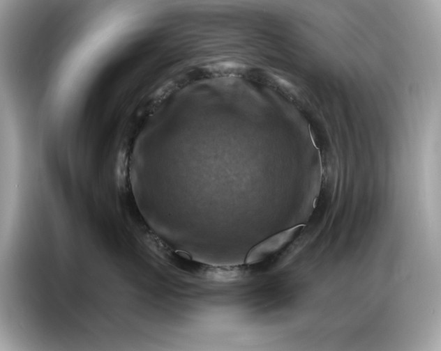 X0000086800767200704271850