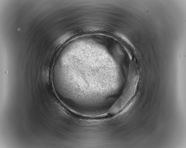 X0000086800777200704271849