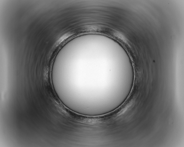 X0000086800778200704271849