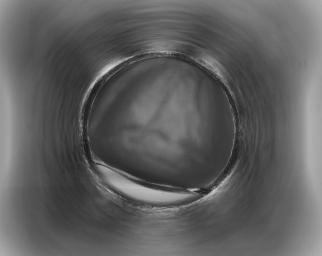 X0000086800779200704271849