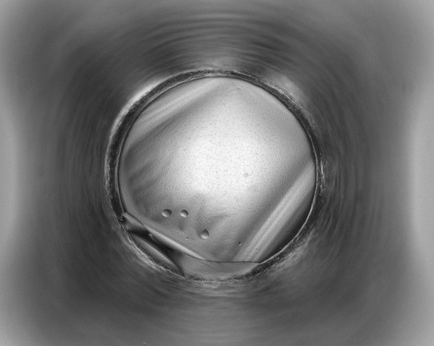 X0000086800780200704271849