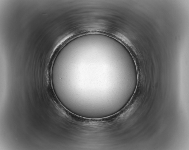 X0000086800782200704271849