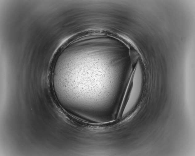 X0000086800783200704271849