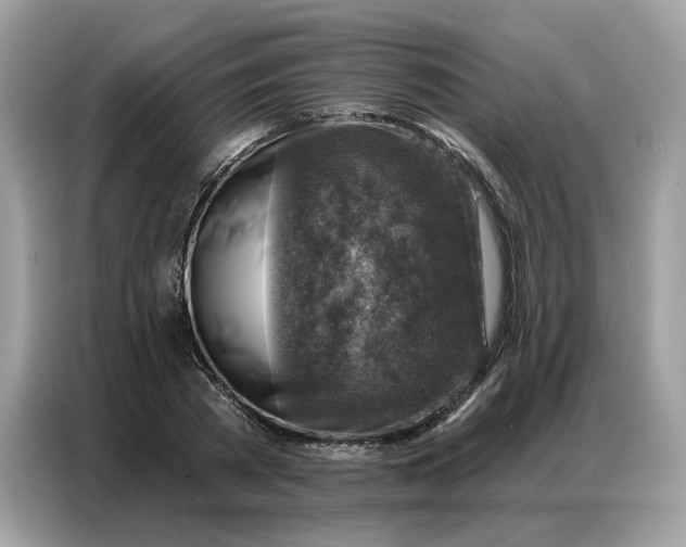 X0000086800785200704271849