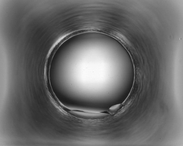 X0000086800788200704271849