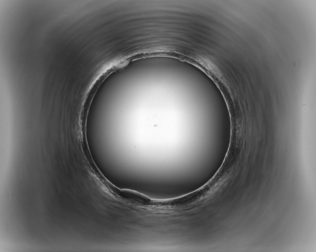 X0000086800789200704271849