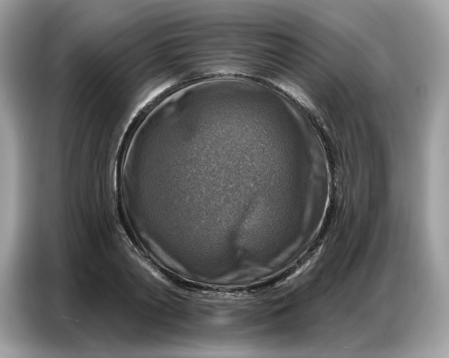 X0000086800790200704271849