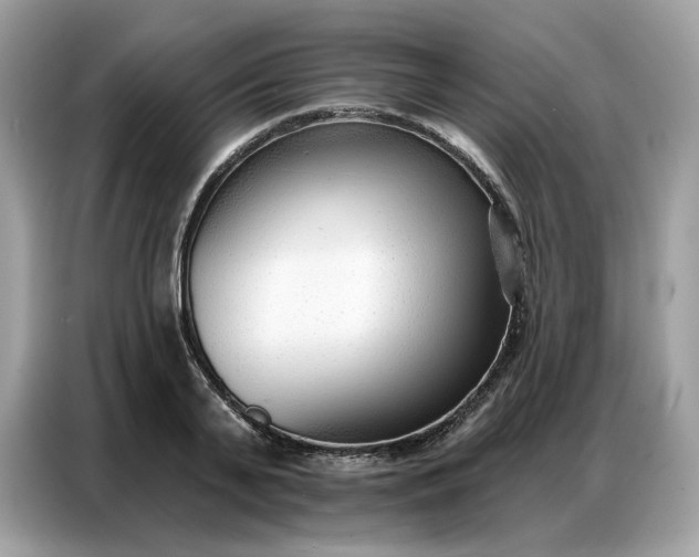 X0000086800791200704271849