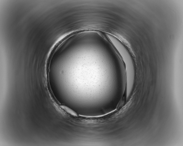 X0000086800792200704271849