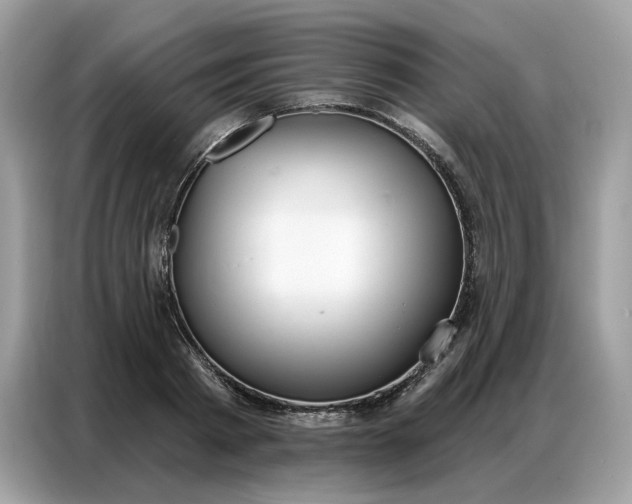 X0000086800793200704271849