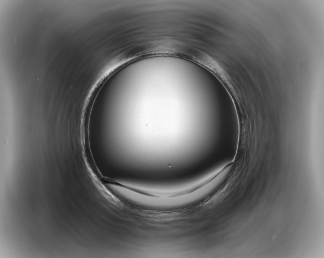 X0000086800795200704271849