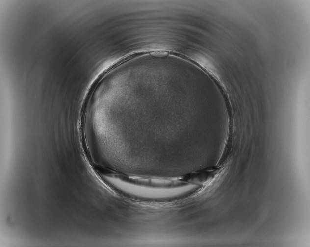 X0000086800797200704271849