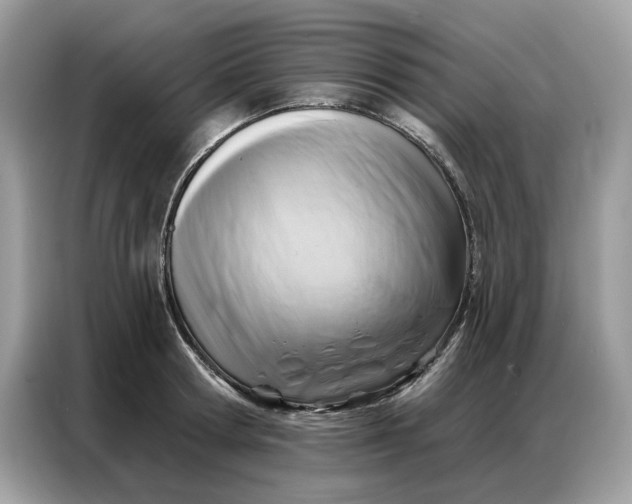 X0000086800802200704271849