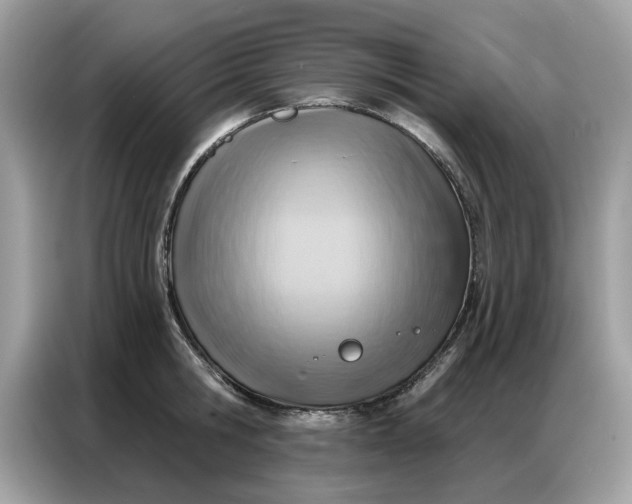 X0000086800806200704271849