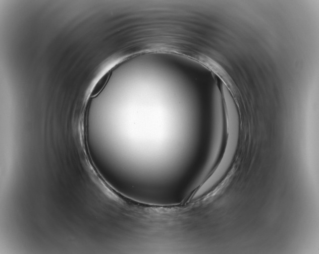 X0000086800812200704271849