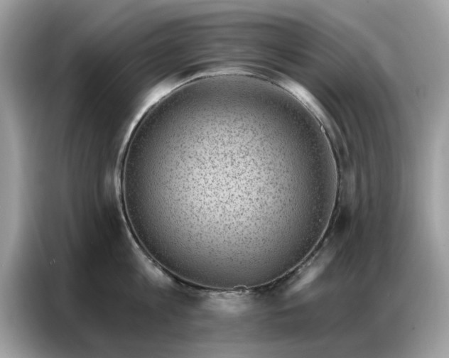 X0000086800813200704271849