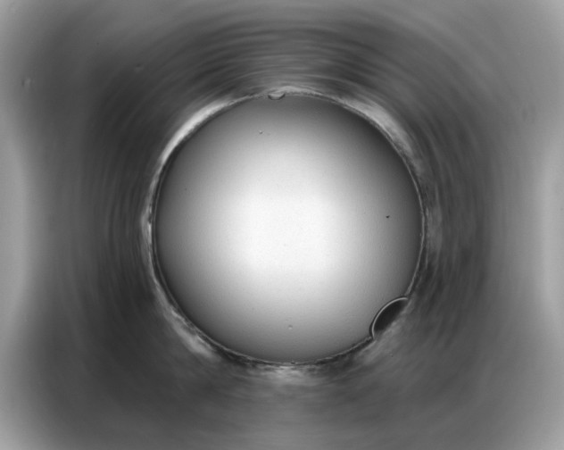 X0000086800814200704271849