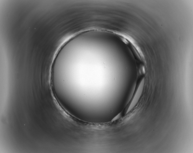 X0000086800815200704271849