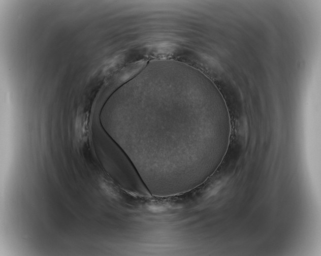 X0000086800818200704271848