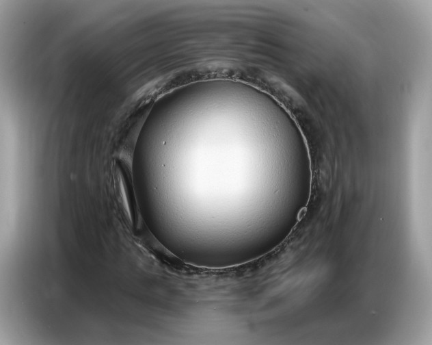 X0000086800821200704271848