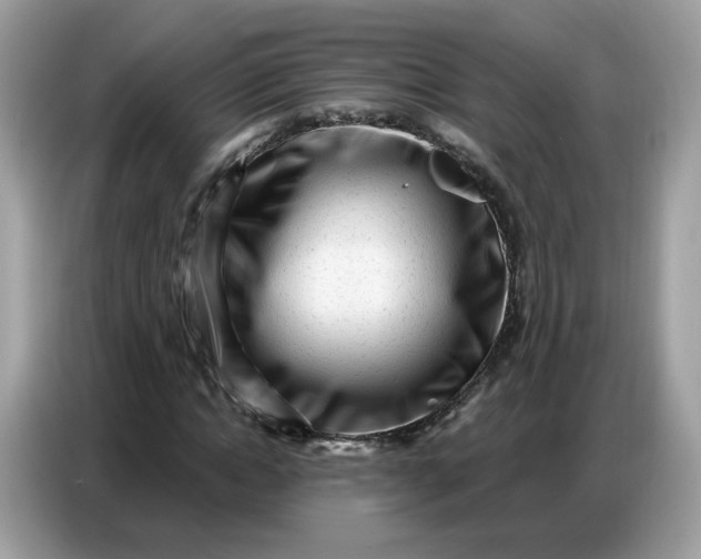 X0000086800822200704271848