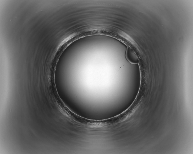 X0000086800826200704271848