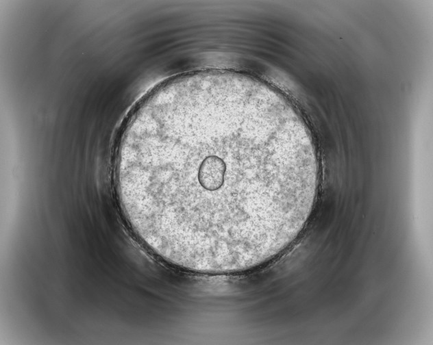 X0000086800828200704271848