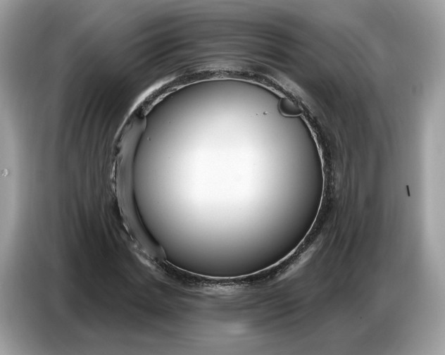 X0000086800830200704271848