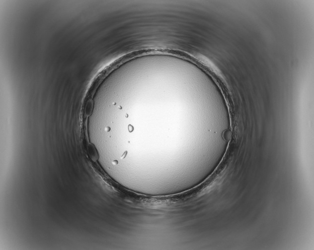 X0000086800831200704271848