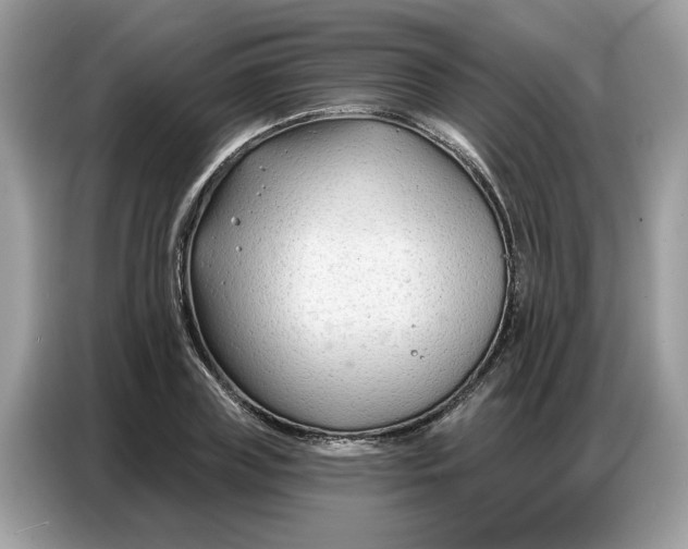 X0000086800835200704271848