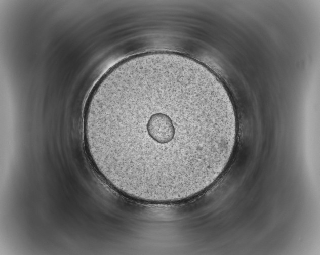 X0000086800836200704271848