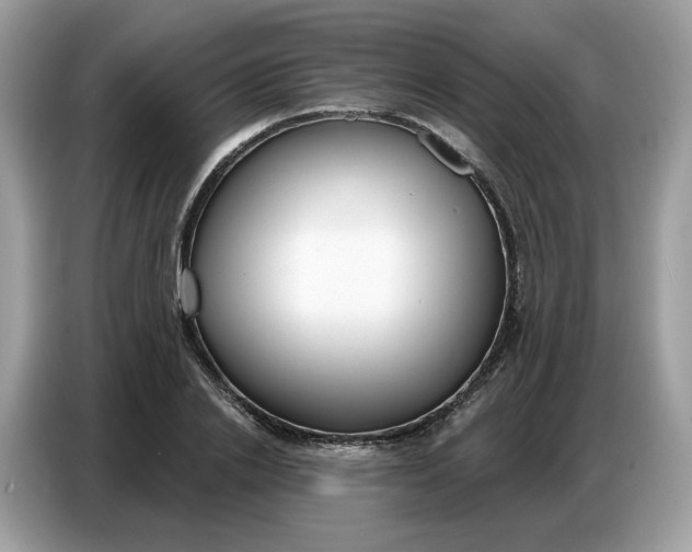 X0000086800838200704271848