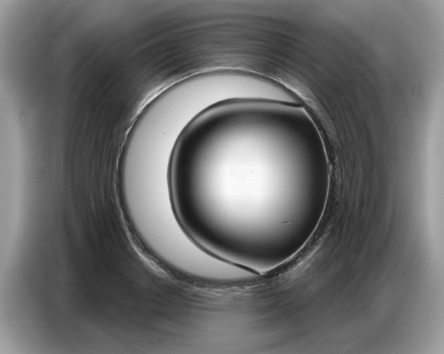 X0000086800842200704271848