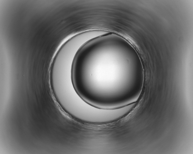 X0000086800854200704271849