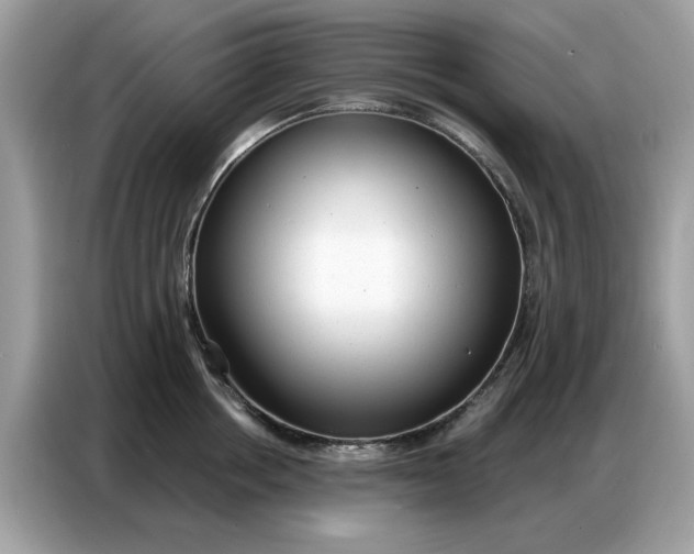 X0000086800858200704271849