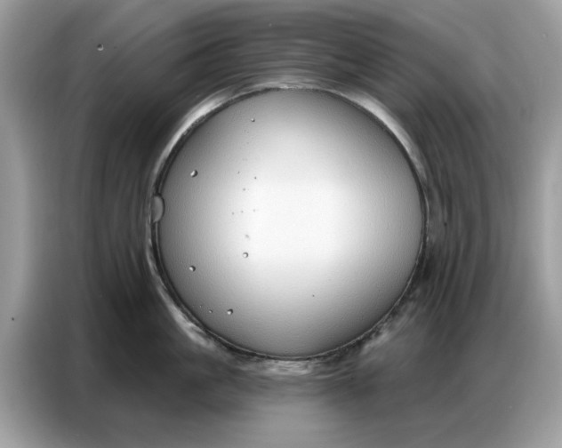 X0000086800861200704271849