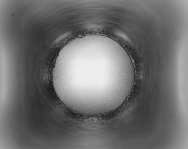 X0000086800869200704271848