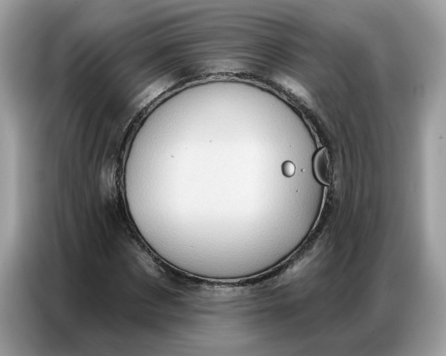 X0000086800873200704271848