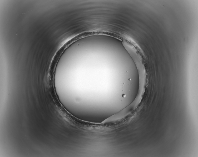 X0000086800876200704271848