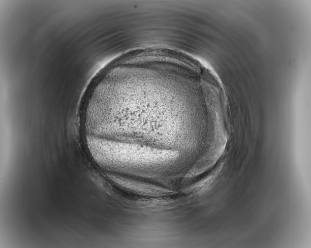 X0000086800879200704271848