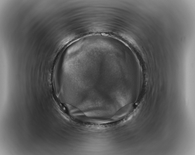 X0000086800881200704271848