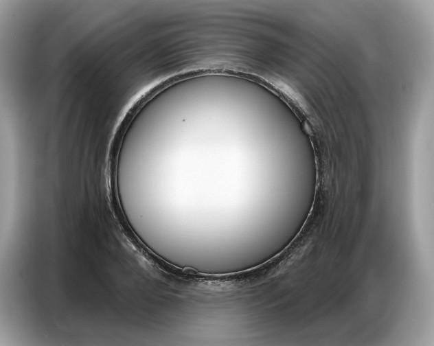 X0000086800888200704271848