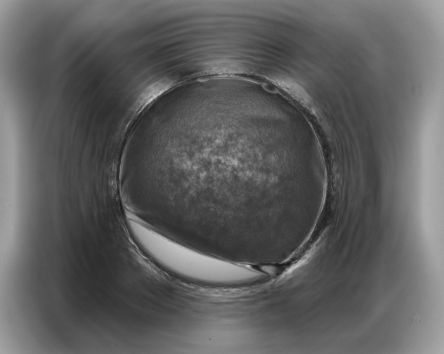 X0000086800889200704271848